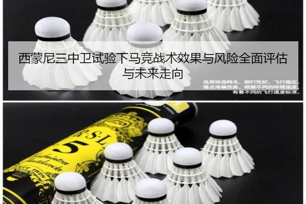 西蒙尼三中卫试验下马竞战术效果与风险全面评估与未来走向