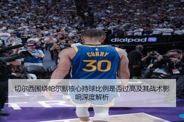 切尔西围绕帕尔默核心持球比例是否过高及其战术影响深度解析
