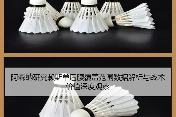 阿森纳研究赖斯单后腰覆盖范围数据解析与战术价值深度观察